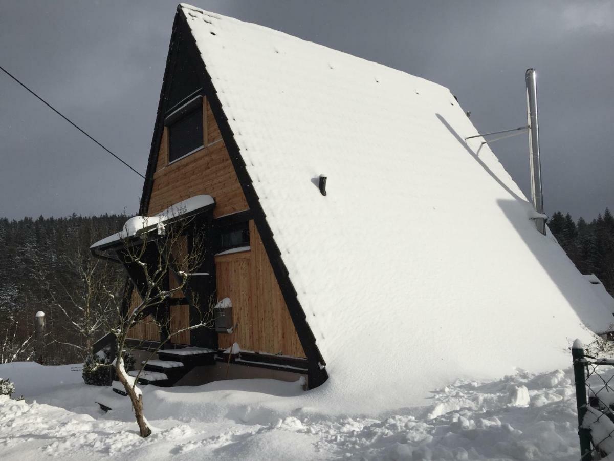 Haus Fichtelgebirge Villa Nagel Exterior photo